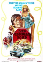 plakat filmu Bad Georgia Road