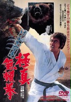 plakat filmu Kyokuskin kenka karate burai ken