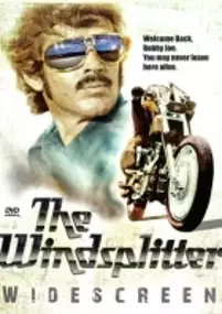 Plakat filmu The Windsplitter