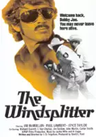 plakat filmu The Windsplitter