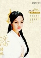 plakat filmu Yang Men Hu Jiang