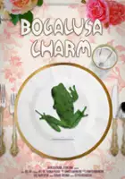 plakat filmuBogalusa Charm