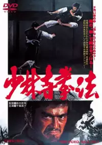 Plakat filmu Shôrinji kenpô
