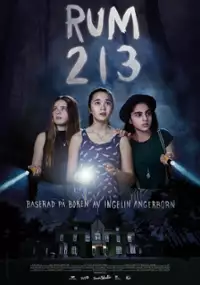 Plakat filmu Pokój 213