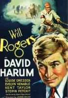 plakat filmu David Harum