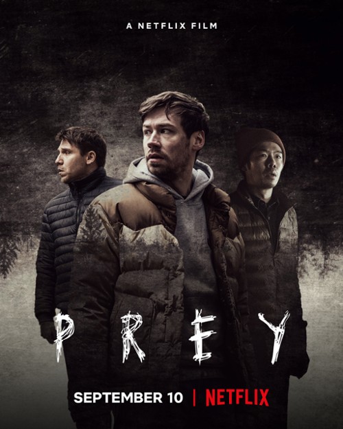 www.filmweb.pl
