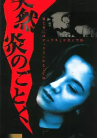 Plakat filmu Tōhōkenbunroku
