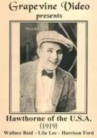 Plakat filmu Hawthorne of the U.S.A.