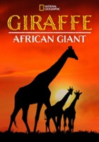 plakat filmu Żyrafa: afrykański olbrzym