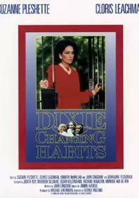 Plakat filmu Dixie: Nowe doświadczenie