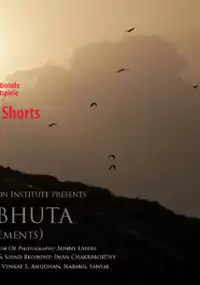 Plakat filmu Panchabhuta