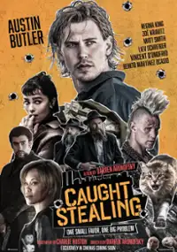 Plakat filmu "Złodziej z przypadku"