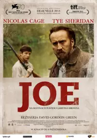 Plakat filmu Joe