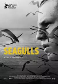 Plakat filmu Seagulls