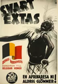 Plakat filmu Magie africaine