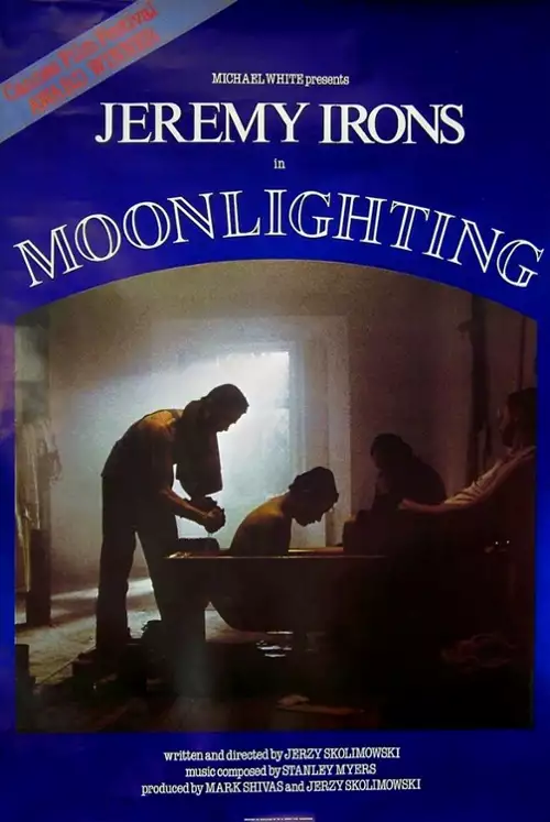 plakat filmu Fucha