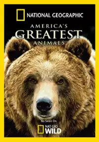 Plakat filmu America's Greatest Animals