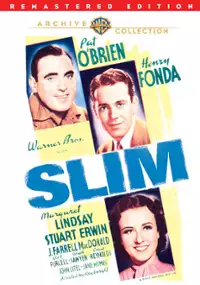 Plakat filmu Slim