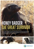 plakat filmu Honey Badger: The Great Survivor