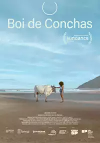 Plakat filmu Boi de conchas
