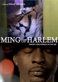 Plakat filmu Ming z Harlemu