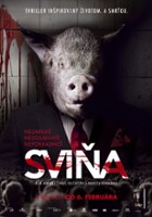 plakat filmu Świnia