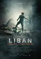 Fabien Boucheseiche / Liban: Anatomie d'une guerre