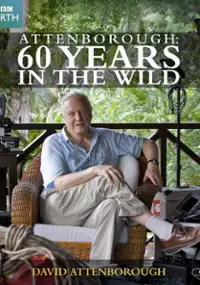 Plakat serialu Attenborough. 60 lat wśród dzikiej przyrody