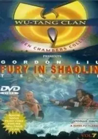 Plakat filmu Shao Lin zhen ying xiong