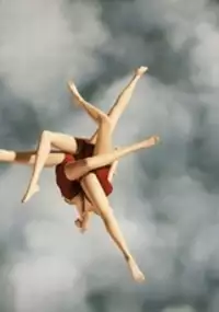 Plakat filmu Divers