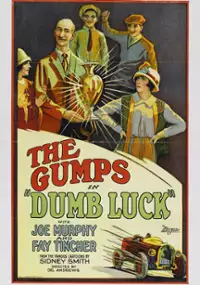 Plakat filmu Dumb Luck