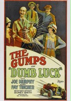 plakat filmu Dumb Luck