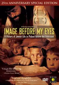 Plakat filmu Image Before My Eyes