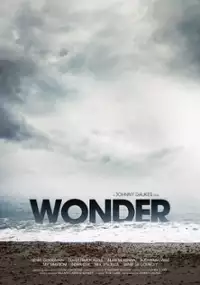 Plakat filmu Wonder