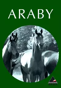 Plakat filmu Araby