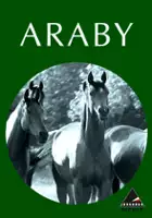plakat filmu Araby