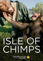 plakat filmu Isle of Chimps