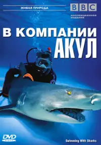 Plakat filmu Swimming with Sharks