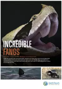Plakat filmu Niesamowite kły