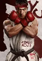 plakat filmu Street Fighter