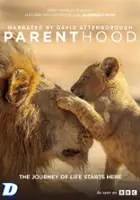 Peter Cayless / Świat zwierząt - rodzicielstwo