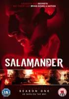 Ward Hulselmans / Salamander