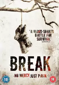 Plakat filmu Break