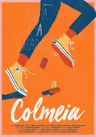 Roberto Borenstein / Colmeia