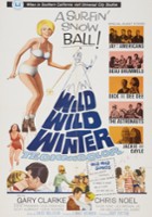 plakat filmu Wild, Wild Winter