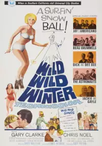 Plakat filmu Wild, Wild Winter