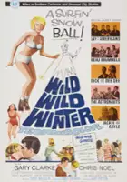 plakat filmu Wild, Wild Winter