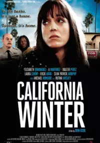 Plakat filmu California Winter