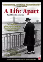 Robert Seidman / A Life Apart - Hasidism in America