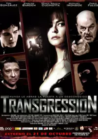 Plakat filmu Transgression